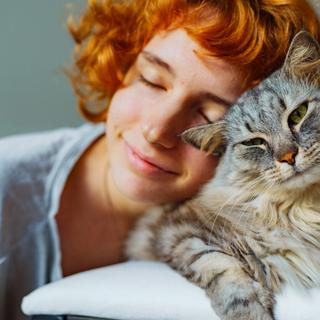 La mémoire féline intrigue les éthologues. © Larisa Stefanuyk, iStock