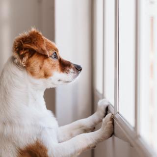 © Eva, Adobe Stock