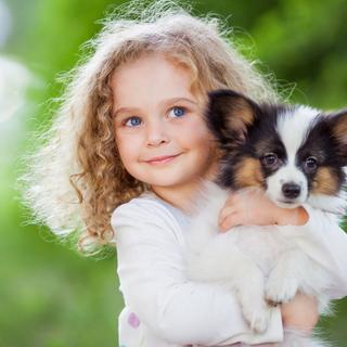 Des étudiants semblaient plus perturbés par la souffrance d&#39;un chien que celle d&#39;un adulte humain. © Natalia Chircova, Fotolia