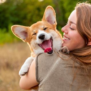 Comment créer un lien encore plus fort avec votre chien ? © Fotographixx, iStock