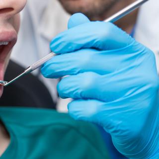 Définition | Reptile mammalien : qu'est-ce que c'est ? | Futura planète