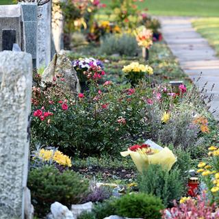 Certains pays autorisent d’autres pratiques que l’inhumation et la crémation. Des funérailles écologiques ? © celeste clochard, Fotolia