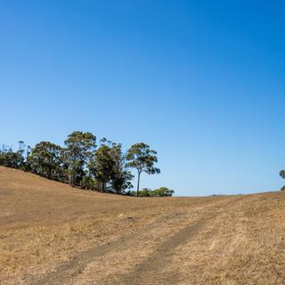 Como será a França, 4 graus mais quente até ao final do século? Provavelmente para esta paisagem na Austrália em diversas regiões. © Febe, Adobe Stock