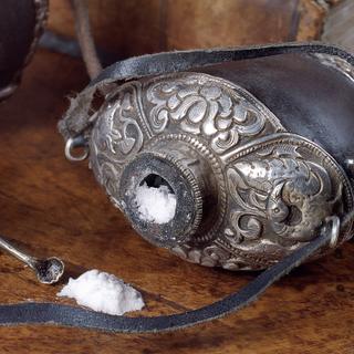 A cocaína é uma droga extraída das folhas de coca, que crescem na América do Sul. © Valeriy Velikov, Adobe Stock