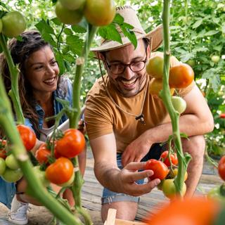Entre vous et les agriculteurs, cinq géants filtrent 80 % de votre alimentation. © Dorde, Adobe Stock