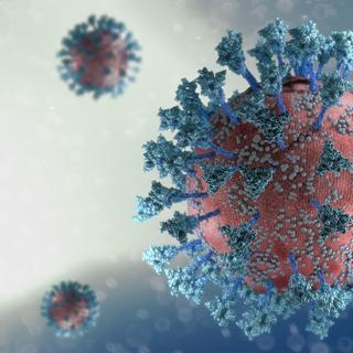 56 % des participants d&#39;une étude américaine ne savaient pas qu&#39;ils étaient infectés par le variant Omicron. © Naeblys, Adobe Stock