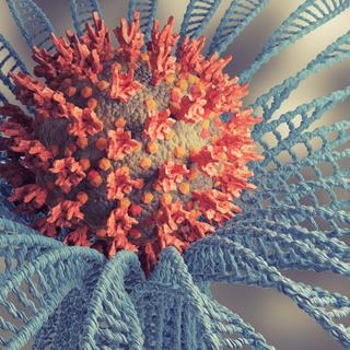 Le SARS-CoV-2 est un virus encore plein de mystère. © AGPhotography, Adobe Stock