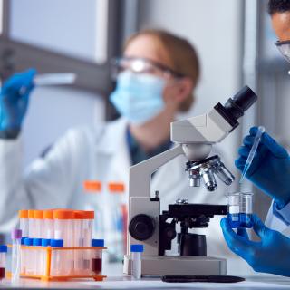 Le variant XEC, identifié en juin 2024 en Allemagne, pourrait devenir dominant dans les mois à venir, selon certains experts. © Monkey Business, Adobe Stock&amp;nbsp;