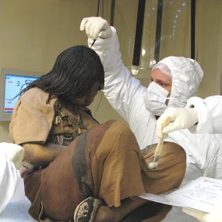 Les enfants du Llullaillaco sont actuellement conservés&nbsp;sous cloche&nbsp;par -20 °C&nbsp;au Musée d'archéologie de haute montagne de Salta, en Argentine. © José Fontanelli, Flickr, cc by 2.0