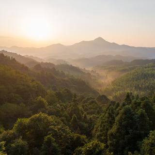 Une ingénierie écologique à grande échelle a transformé l'un des déserts les plus arides du monde en puits de carbone. © Daqian Dong, iStock