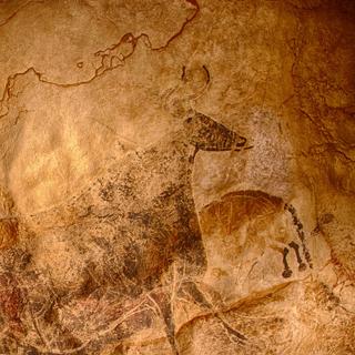 Une photo d'une reproduction de la Grotte de Lascaux. Il s'agit d'une partie du panneau dit de « La Grande Vache noire » dans la salle dite de « la Nef». La vache est en réalité un aurochs dont la taille sur la paroi est de 220 cm. © Randall Pugh, CC by-nc 2.0