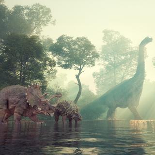 Pourquoi les mammifères sont-ils restés petits face aux géants de l’ère des dinosaures ?&nbsp;© Orla, iStock