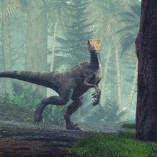 La capacité de perspective visuelle, qui n'est aujourd'hui observée que chez très peu d'espèces, aurait émergé chez les ancêtres des oiseaux, comme les vélociraptor. © Orlando Florin Rosu, Adobe Stock