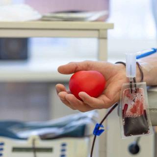 A doação de medula óssea é pouco conhecida, mas salva milhares de vidas... mas faltam doadores. © Elena Yakimova, Shutterstock.com