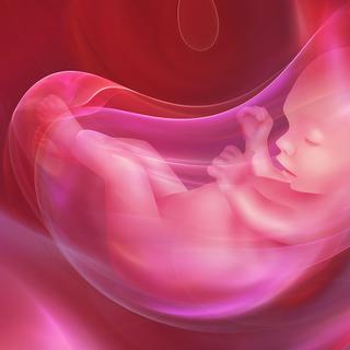 Tudo o que você precisa saber sobre o parto e o nascimento de um bebê. © Zffoto, Shutterstock