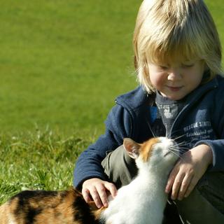 A meningite afecta frequentemente crianças, que pagam um preço elevado pela doença. © Böhringer Friedrich, CC by-nc 2.5