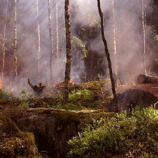 Les risques de feux de forêts. © Ylvers, Domaine public