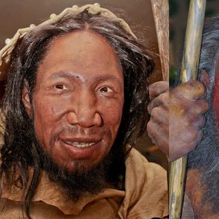 Représentation des visages de l’Homo sapiens (à gauche) et de l’Homo neanderthalensis (à droite). ©&nbsp;Daniela Hitzemann et&nbsp;Stefan Scheer, Creative Commons 4.0