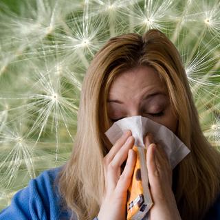 A alergia pode ser caracterizada por espirros. © HebiFot/Mojpe, DP