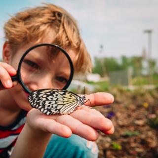 Existem muitas atividades para descobrir e ensinar as crianças sobre ecologia. © nadazhda1906, Adobe Stock