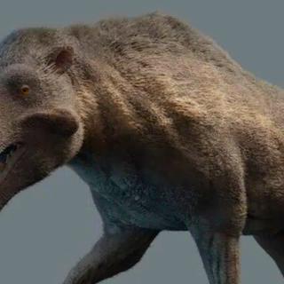 Não tão feroz: a surpreendente verdade sobre os temíveis “porcos exterminadores”. © Max Bellomio, iStock