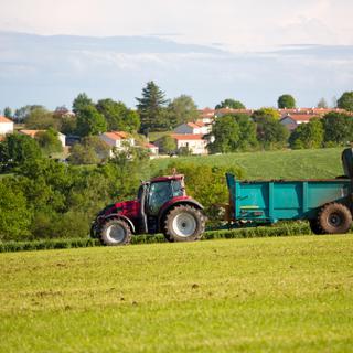 Peut-on vraiment se passer des engrais phosphatés en France, sans compromettre les rendements agricoles ? © Thierry Ryo, Adobe Stock