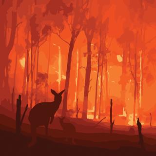 Plus d&#39;un milliard d&#39;animaux ont péri dans les incendies qui ravagent l&#39;Australie depuis le printemps austral 2019. © lllonajalll, Adobe Stock