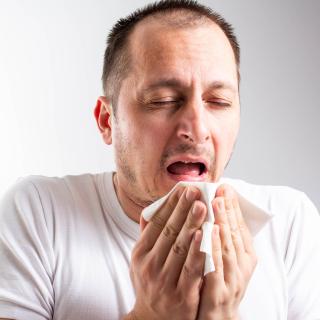 Espirrar entre dois sonos, sim, mas no meio do sono, nunca! Um enigma que questiona o próprio funcionamento do cérebro durante a noite. © Nenad Cavoski, Shutterstock.com