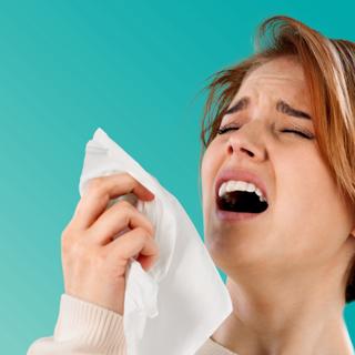 Un médecin ORL a extrait 10 larves de mouche des sinus de la patiente. © BillionPhotos.com, Adobe Stock