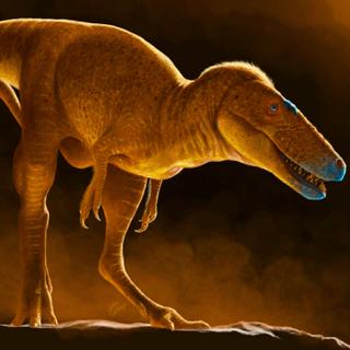 Este pequeno tiranossauro revelado após 50 anos: o ancestral do T. rex identificado? © Julius Csotonyi, iStock