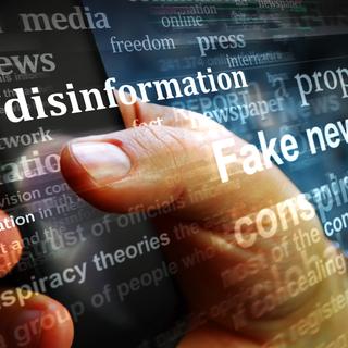 Infox e propaganda: a indústria da fazenda troll