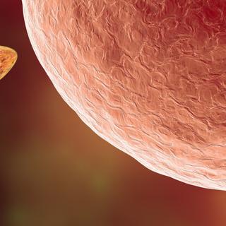 A qualidade do esperma está diminuindo. © Dr_Microbe, Adobe Stock (imagem gerada por IA)