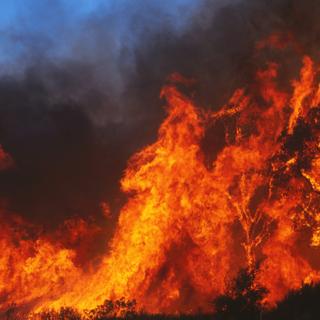 Le risque d'incendie est plus fort en Afrique que n'importe où dans le monde. © fotoXS, Adobe Stock