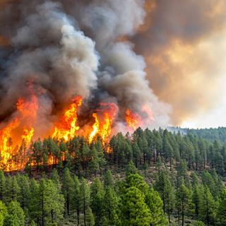 Grâce aux outils satellites, suivre les incendies en France et dans le monde est désormais à la portée de tous. © Tam, Adobe Stock