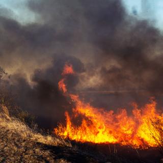 La pente peut accélérer considérablement la propagation d'un feu de forêt en favorisant le transfert de chaleur vers la végétation située en amont. © zorandim75, Adobe Stock