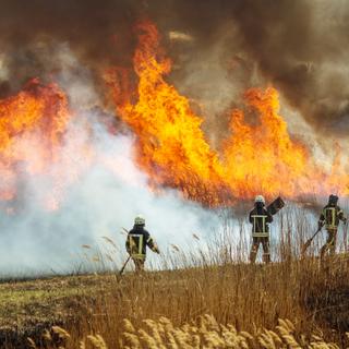Les incendies remontent de plus en plus vers le nord de la France. © Aleksandr Lesik, Adobe Stock