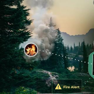 La version Silvanet Wildfire Sensor WF-4P mesure environ 24 × 10 × 2 cm pour un poids de 265 grammes. © Dryad