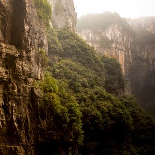 Voici l'incroyable forêt cachée à 626 mètres de profondeur dans un gouffre géant en Chine. Photo d'illustration. © Zxvisualn, iStock