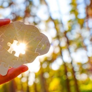 Esta noz protege a memória à medida que envelhecemos. © Ekaterina Chizhevskaya, iStock