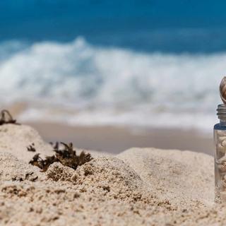 Vous vous dites que quelques coquillages est un souvenir pas cher ? Détrompez-vous, cela peut être tout le contraire ! © photobyevgeniya, Adobe Stock