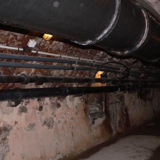 Un nouveau variant découvert dans les égouts de New York. © Wikimedia&amp;nbsp;Commons&amp;nbsp;