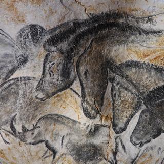 A incrível riqueza da caverna Chauvet ainda não revelou todos os seus segredos. Detalhe do painel dos cavalos. © Caverna Chauvet. Ministério da Cultura e Comunicação