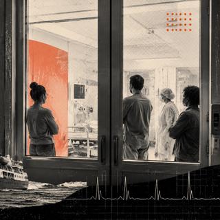 Le foyer détecté&nbsp;à bord du&nbsp;bateau de croisière MV Hondius a remis en lumière&nbsp;le virus des Andes,&nbsp;identifié depuis les années 1990. ©&nbsp;XD, ChatGPT