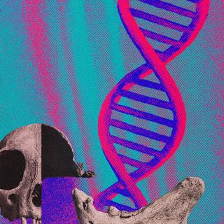 La domestication du&nbsp;chat domestique moderne, descendant direct des chats sauvages d’Afrique du Nord, aurait réellement débuté il y a seulement 2 000 ans. © XD avec ChatGPT