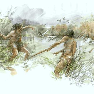 Illustration d'Homo heidelbergensis chassant des oiseaux. © Benoit Clarys