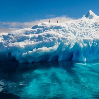 A morte gradual de um iceberg pode ser responsável por uma explosão de vida na água. © Stanislav, Adobe Stock