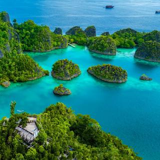 Sous les eaux turquoise de Raja Ampat, l’un des derniers grands sanctuaires du vivant abrite une biodiversité exceptionnelle. ©&nbsp;Sasithorn, Adobe Stock