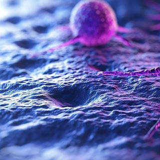 L’immunothérapie bouleverse notre manière d’aborder le traitement du cancer. Contrairement à la chimiothérapie, qui attaque directement les cellules tumorales, cette approche vise plutôt à stimuler les cellules immunitaires présentes autour de la tumeur. © anantachat, Adobe Stock (image générée&nbsp;avec IA)