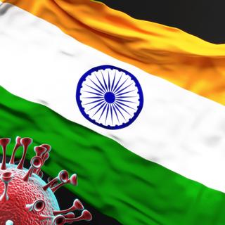 Le variant XBB.1.16 circule surtout en Inde où il a été découvert en janvier 2023. © GoodIdeas, Adobe Stock