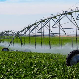 Surgirão conflitos de uso? porque só um cenário de sobriedade limitaria significativamente o aumento do consumo de água. © Brenda Carson, Adobe Stock